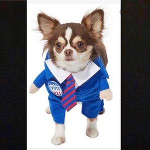 Walking politician dog costume